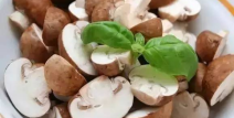 蘑菇吃瓜料每日爆料