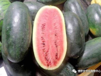黑瓜网-每日大赛,精彩赛事盘点，竞技盛宴不容错过