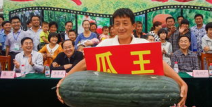 黑瓜网今日大赛,激情碰撞，精彩纷呈